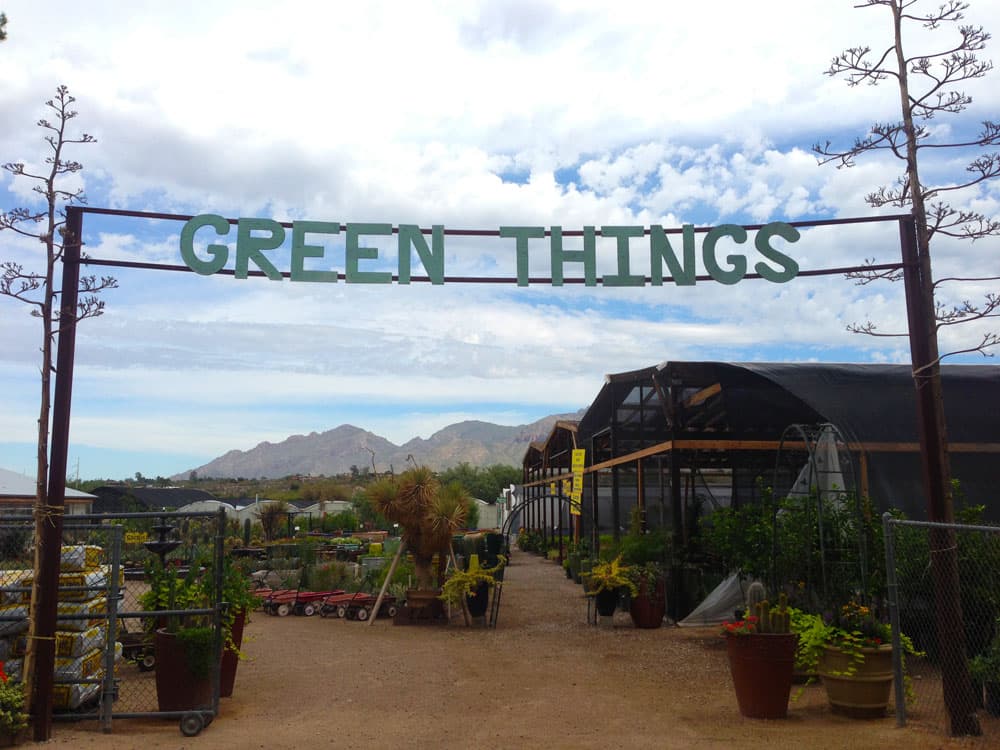 Green Things Nursery in Tucson Green Things Nursery in Tucson