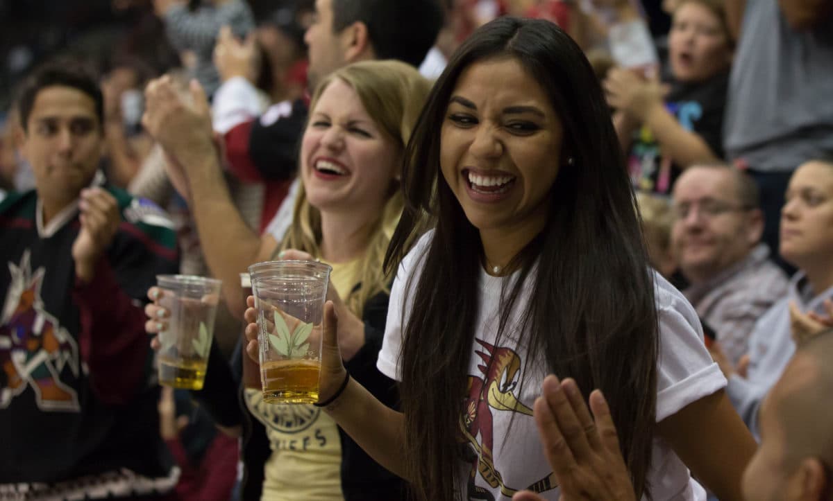 Hops & Hockey Beer Festival (Credit: Tucson Roadrunners)