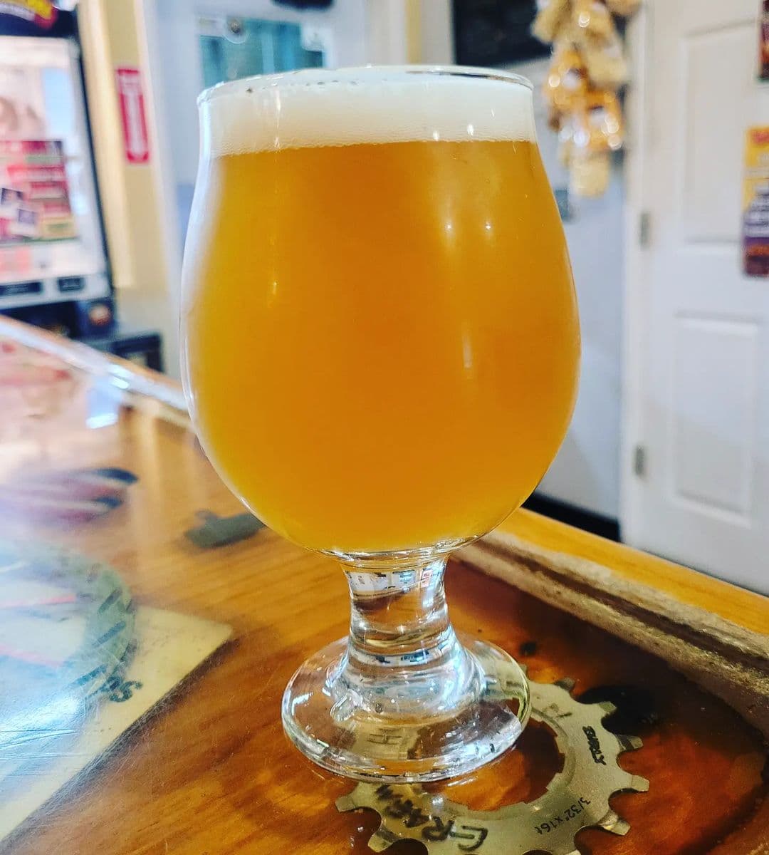 Snow Bird Hazy Lager (Photo courtesy of Catalina Brewing Company on Instagram)