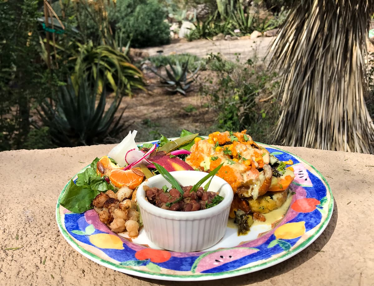 Botanical Sopes at Café Botanica (Credit: Claire Kaufman)