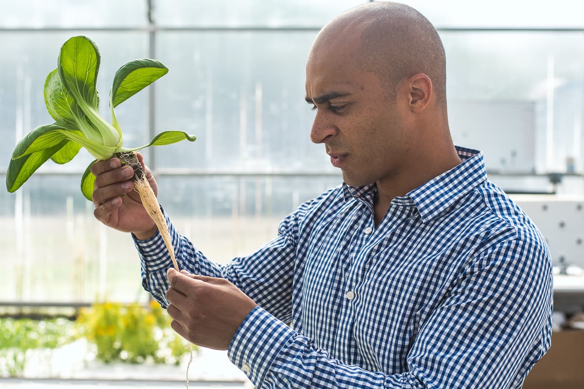 Chaz Shelton, founder and CEO of Merchant's Garden (Credit: Jackie Tran)