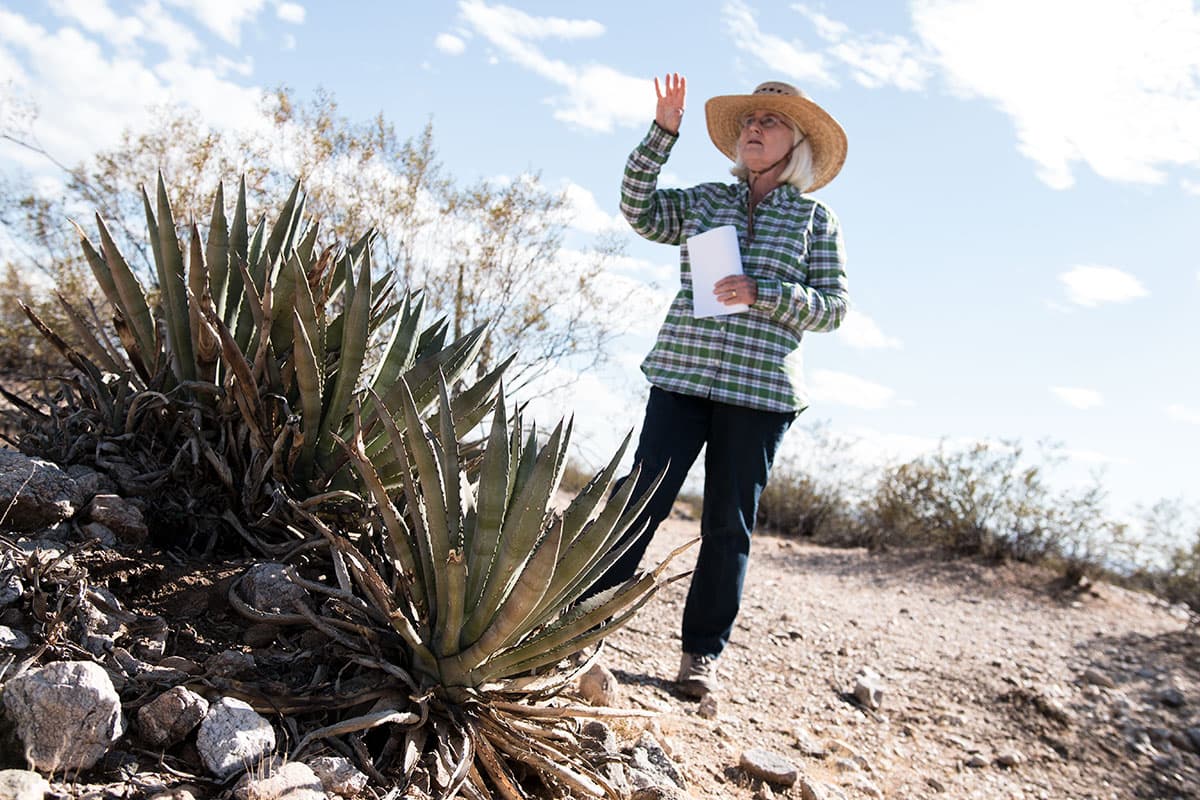 Dr. Suzanne Fish on the Marana Gastronomy Tour (Photo by Adam Lehrman)