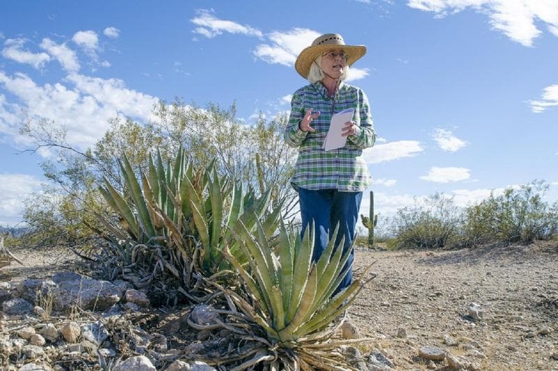 Archaeologist, Dr. Suzy Fish (Credit: Discover Marana)