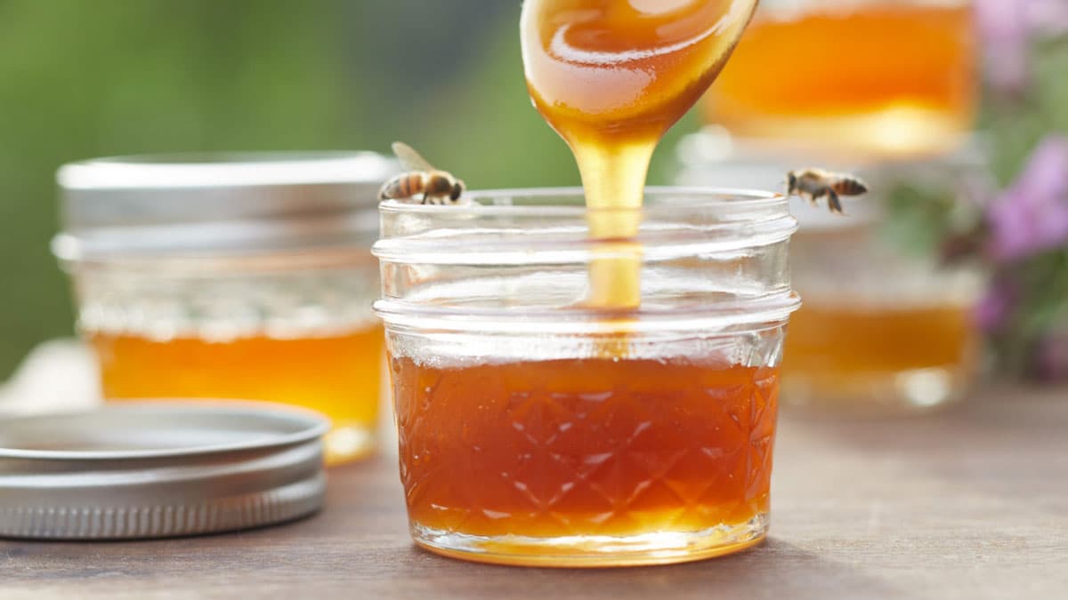Honey: A Sensual Journey at Miraval