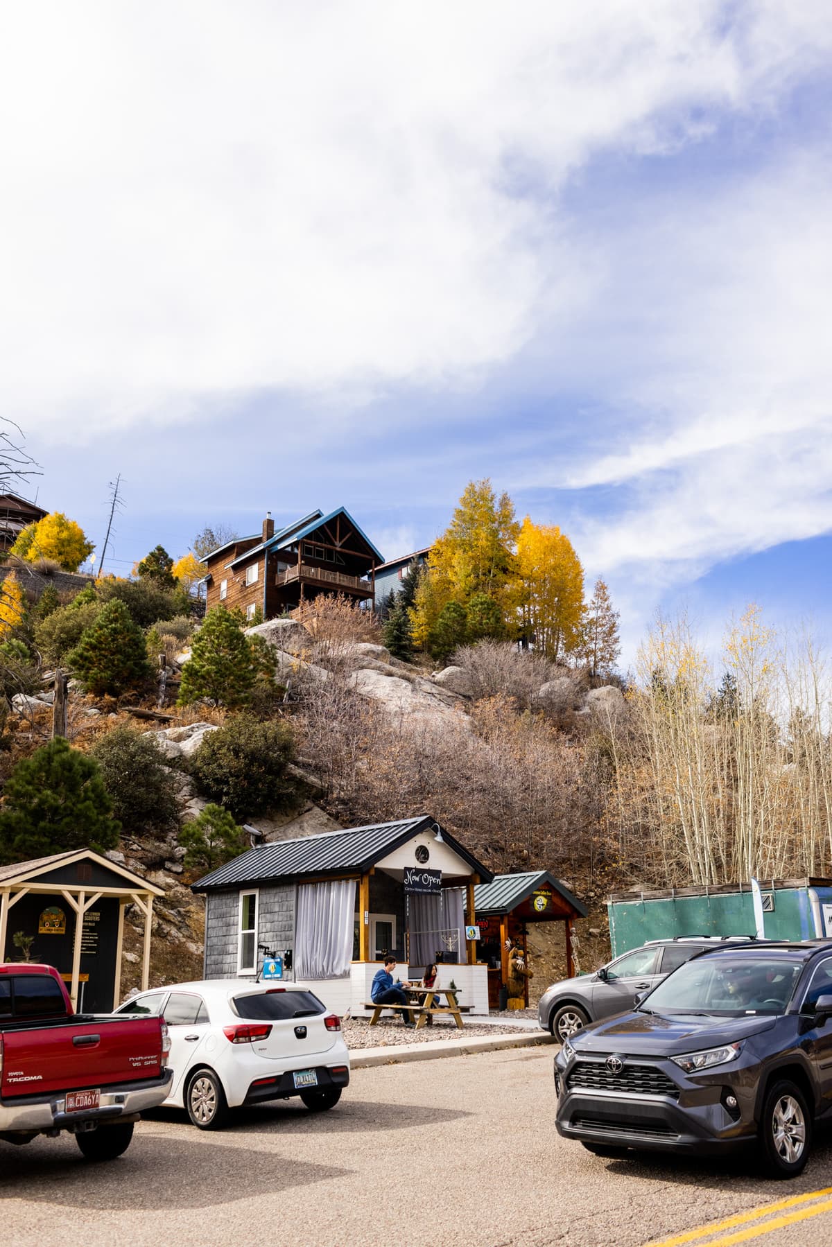 Mt. Lemmon Coffee Bean (Photo by Torey Hayden of Torey Photo)