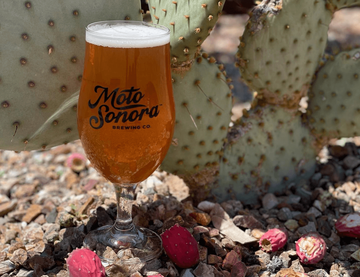 MotoSonora Brewing Company