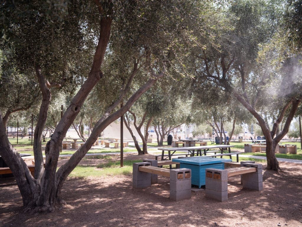 a bench next to a tree