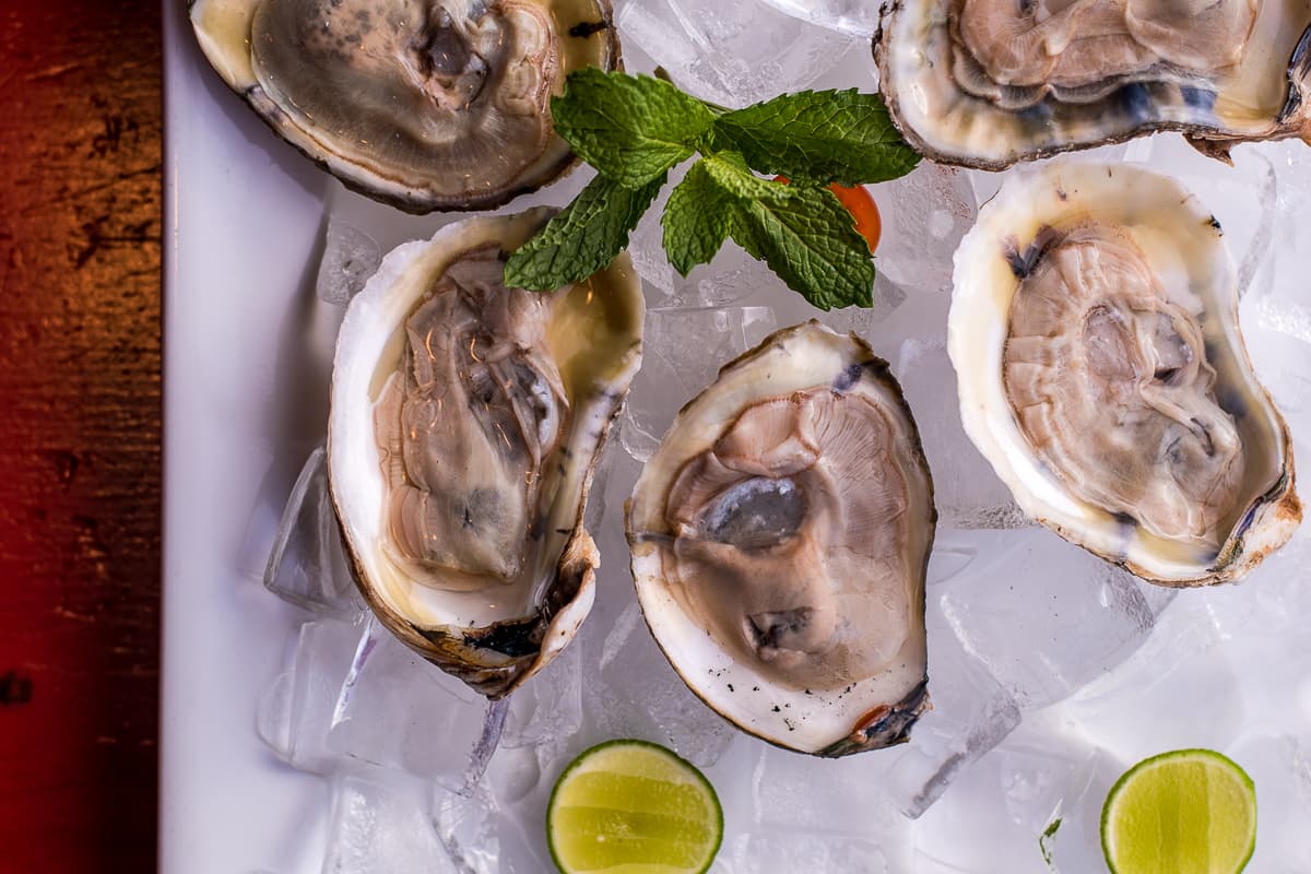 Oysters at El Berraco (Credit: Jackie Tran)