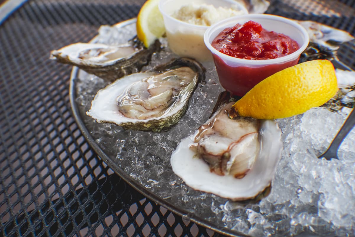 Oysters at Trident Grill III (Credit: Adilene Ibarra)