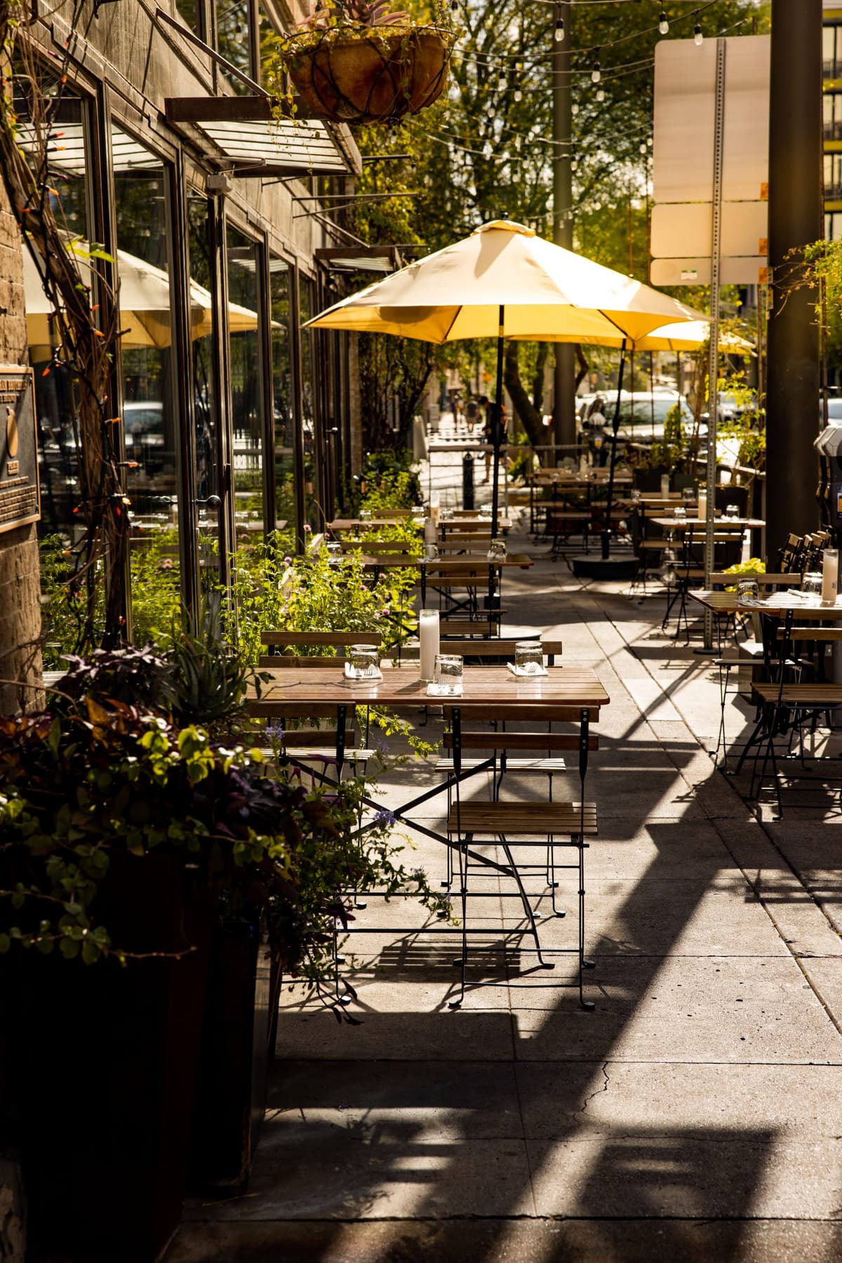 Patio at Penca