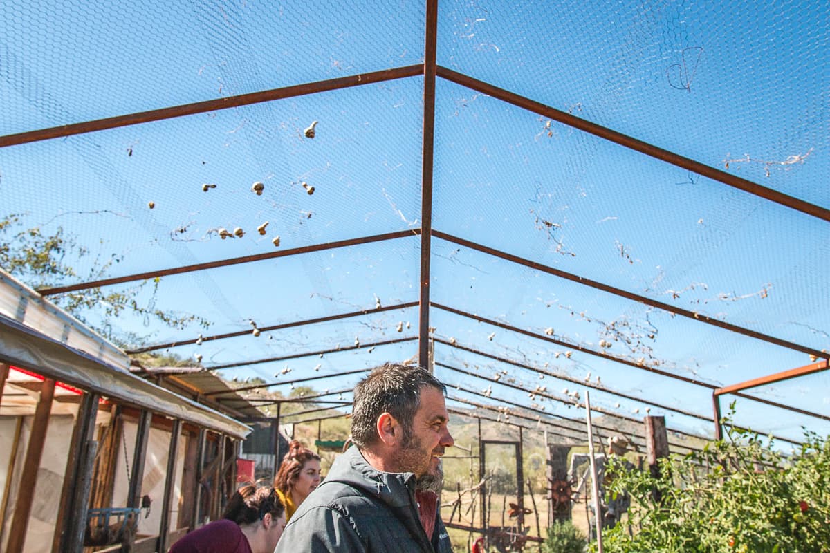 Brandon Luthy at the Peppersauce Kitchen onsite garden