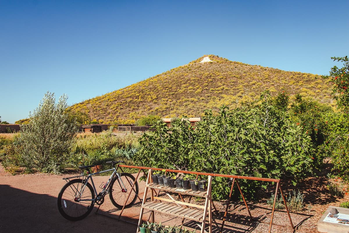 Sentinel Peak view from Mission Garden (Credit: Jackie Tran)