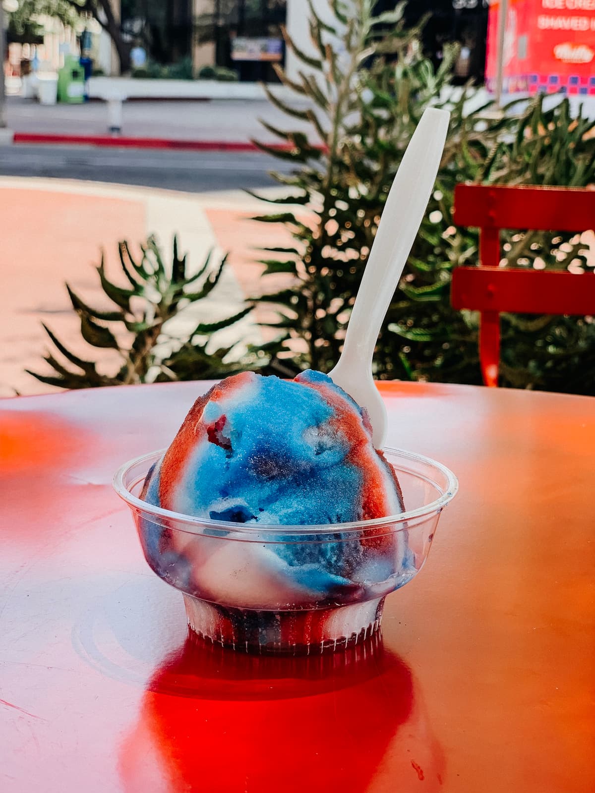 Rainbow Philly Ice at Raptor Canyon Cafe