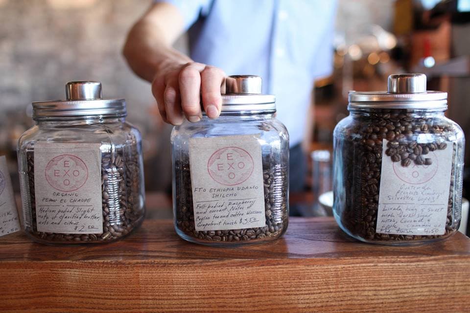 Fresh roasted beans at Exo Roast