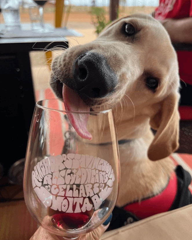 Photo courtesy of Rancho Rossa Vineyards on Instagram