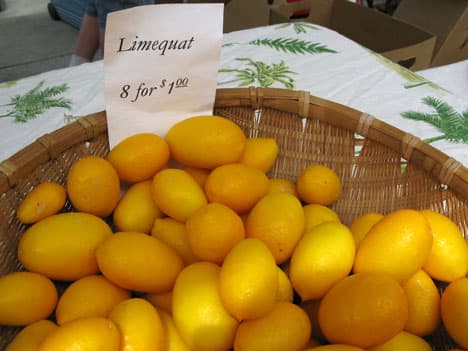 desert-treasures Desert Treasures' Limequats