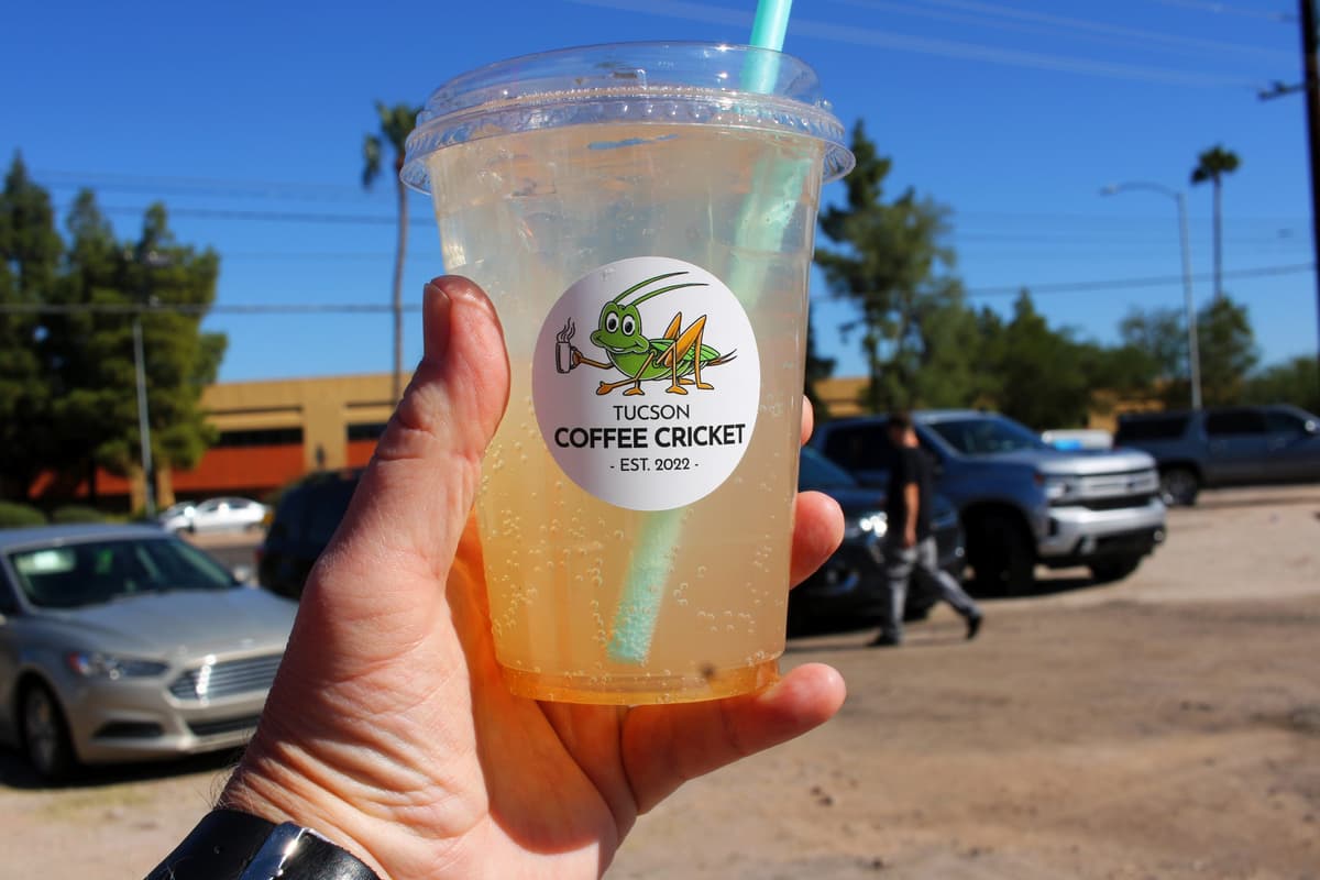 Yerba Mate Palmer (Photo by Mark Whittaker)