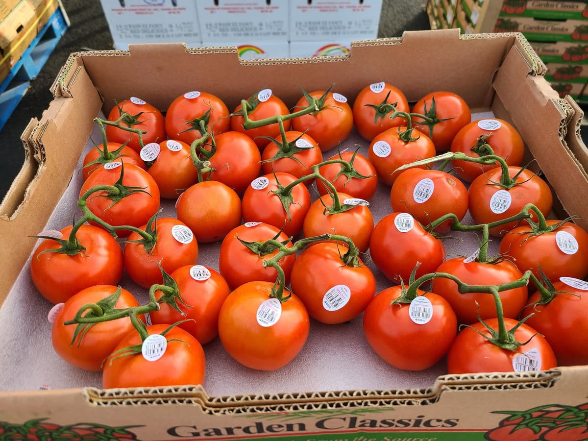 Community Food Bank of Southern Arizona