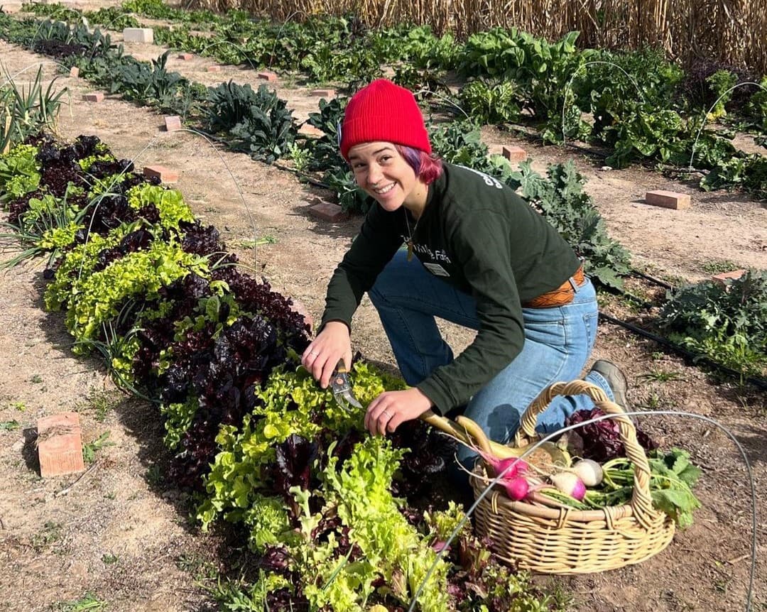 Photo courtesy of Tucson Village Farm on Instagram