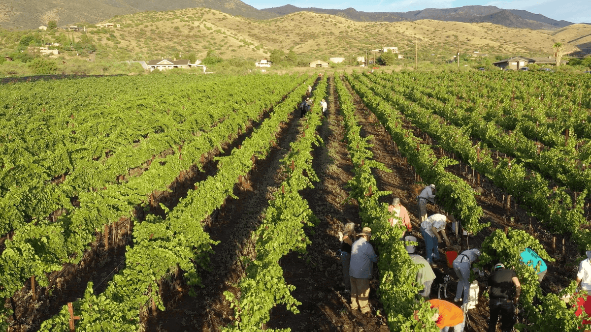 Verde Valley