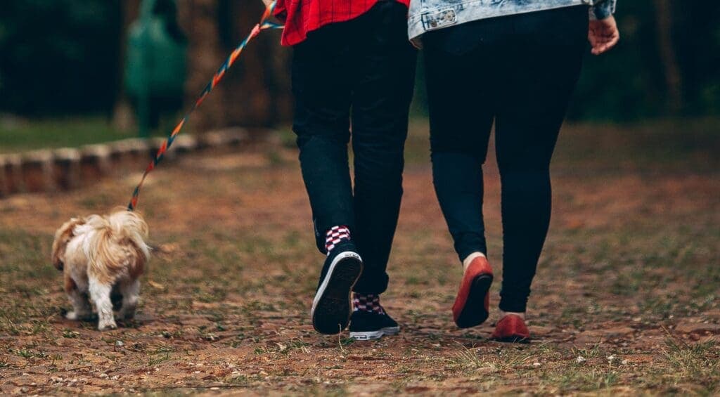a person walking a dog on a leash