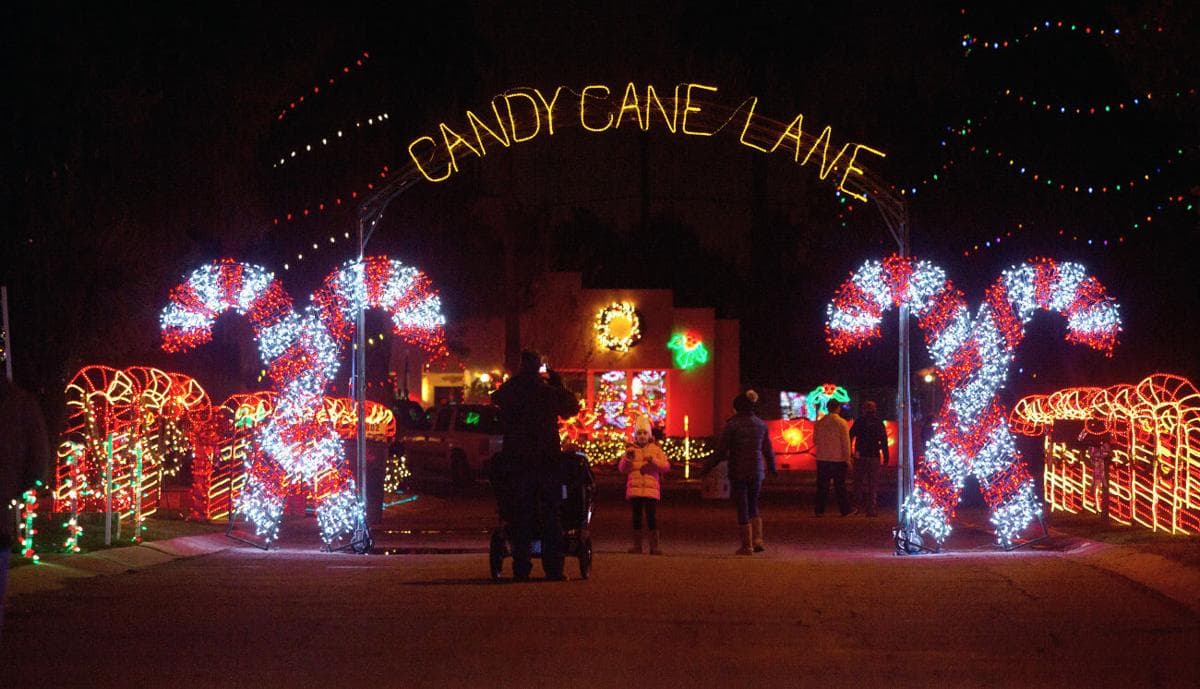 Winterhaven Festival of Lights (Photo courtesy of Arizona Party Bike)