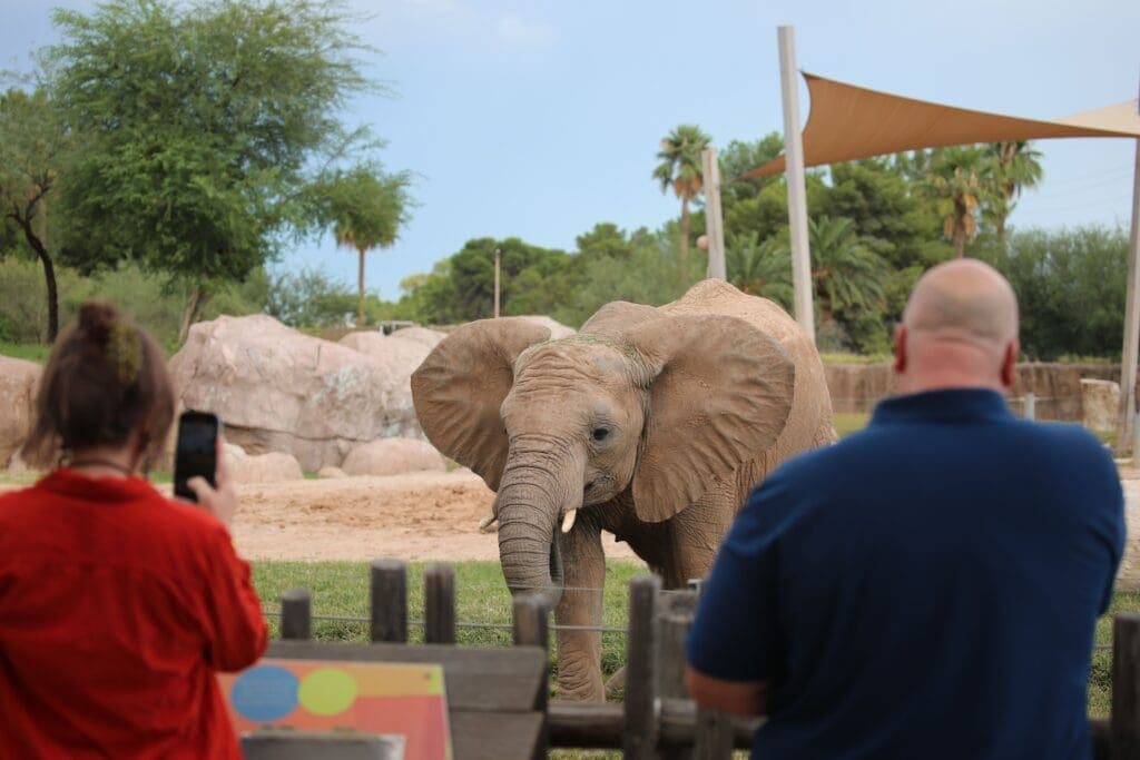 a group of people standing in front of an elephant