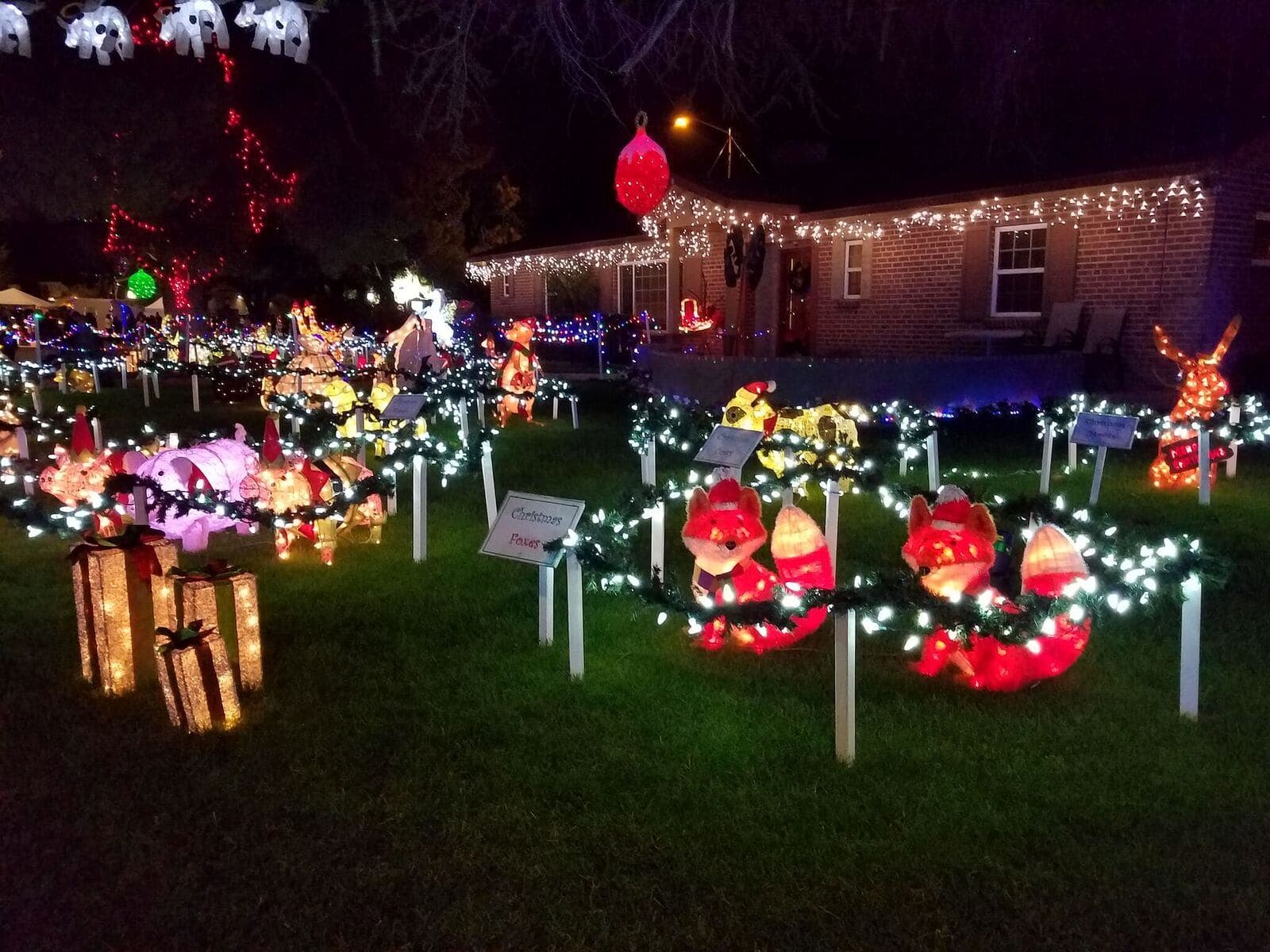 Donate & give back to the Community Food Bank at Winterhaven Festival of Lights