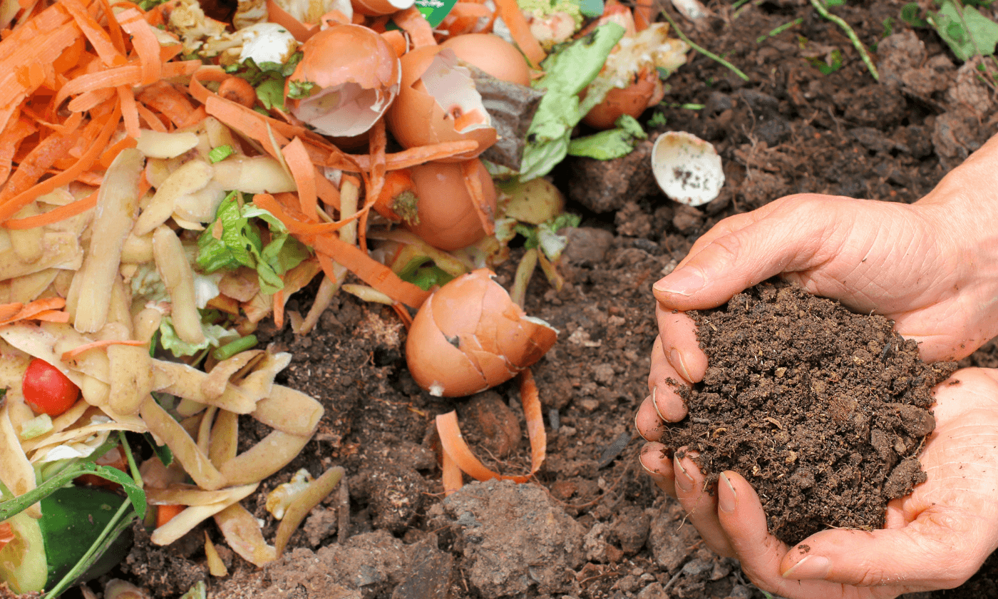 FoodCycle At Home: New Composting Program is Coming to Tucson in 2024