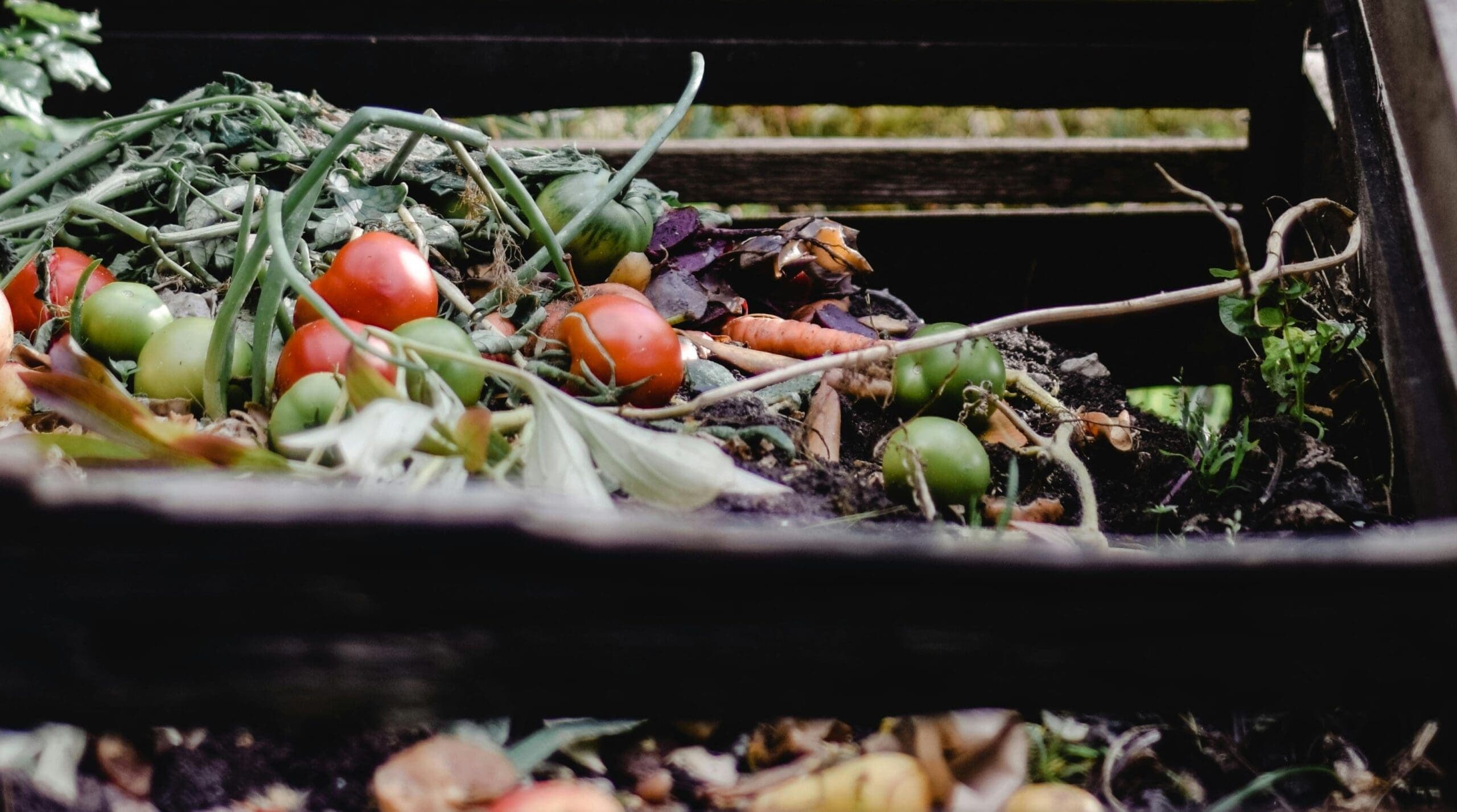 FoodCycle: Reducing Food Waste & Increasing Air Quality in Tucson
