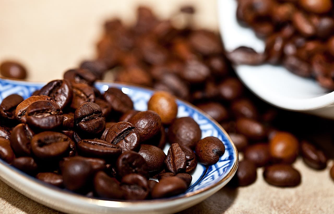 Free Coffee Tasting Classes at Savaya Coffee Market November 7
