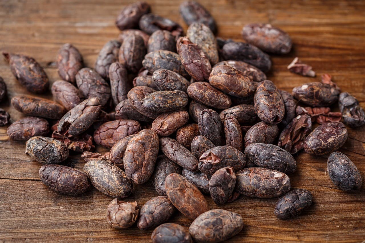 From Cocoa Bean to Chocolate Bar: Origins & Processes of Chocolate