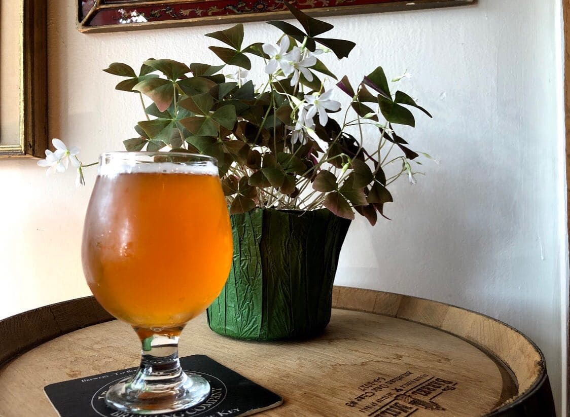 Grand Opening of Iron John’s Brewing Company’s new taproom