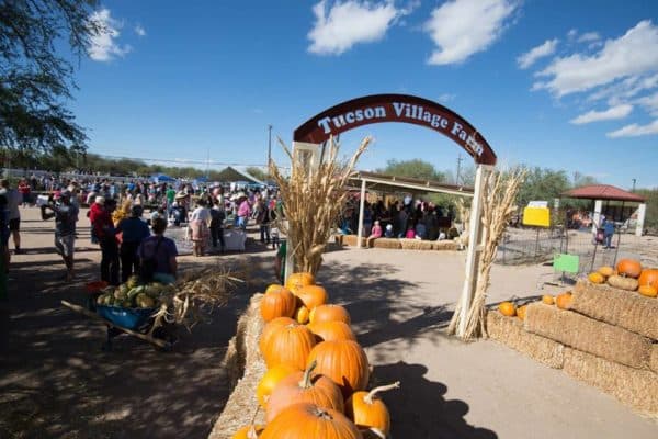 Harvest Festival at Tucson Village Farm November 4