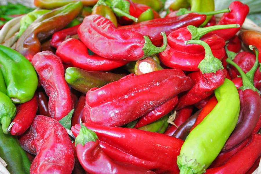 Heirloom Farmers Markets Hosts 11th Annual Chile Festival