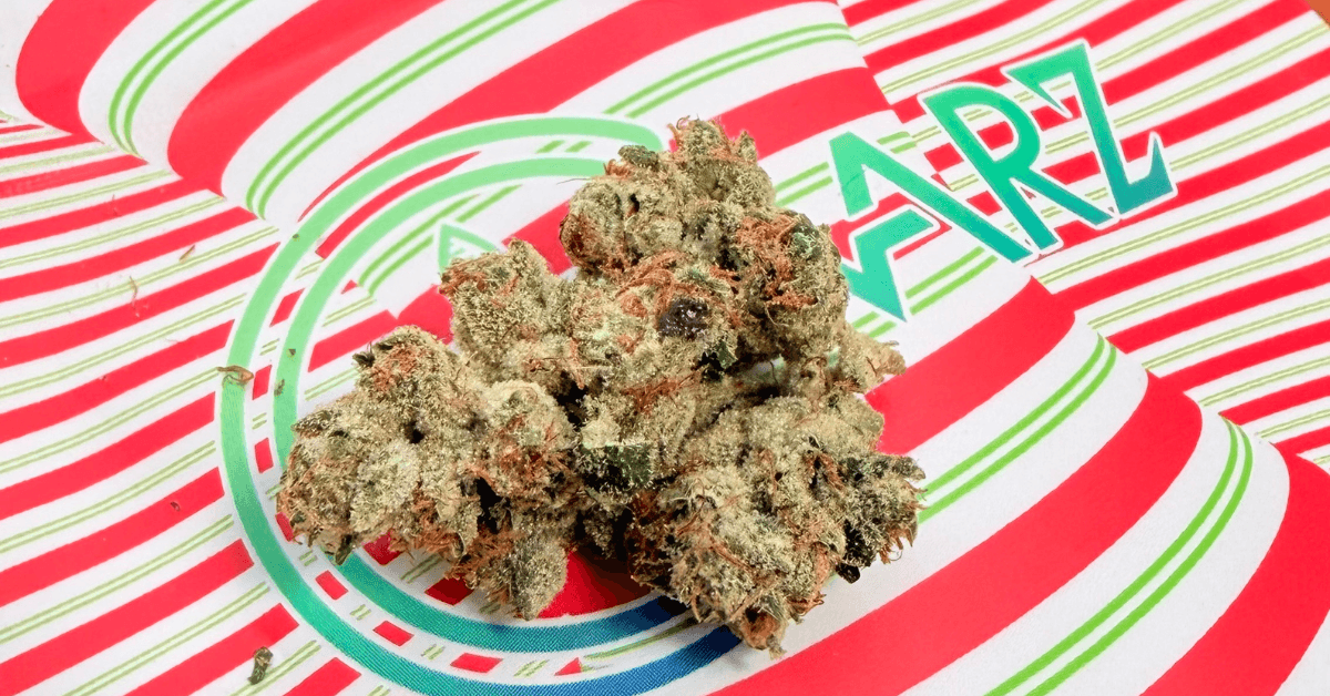 High Notes: Tucson Doobie’s January Picks