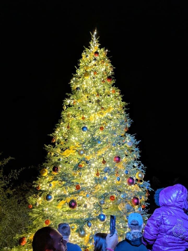 Holiday Tree Lighting Celebration & Community Fundraiser