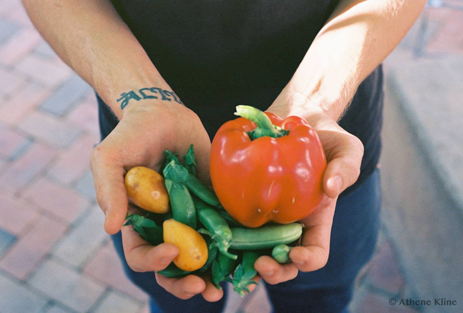 Hors d’Oeuvres, Pueblo Vida Beet Pale Ale & More at Pivot Produce Fundraising Party