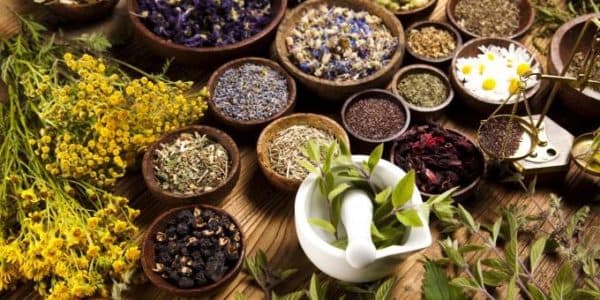 Infusing with Cannabis Class at Natural Healing Care Center July 8