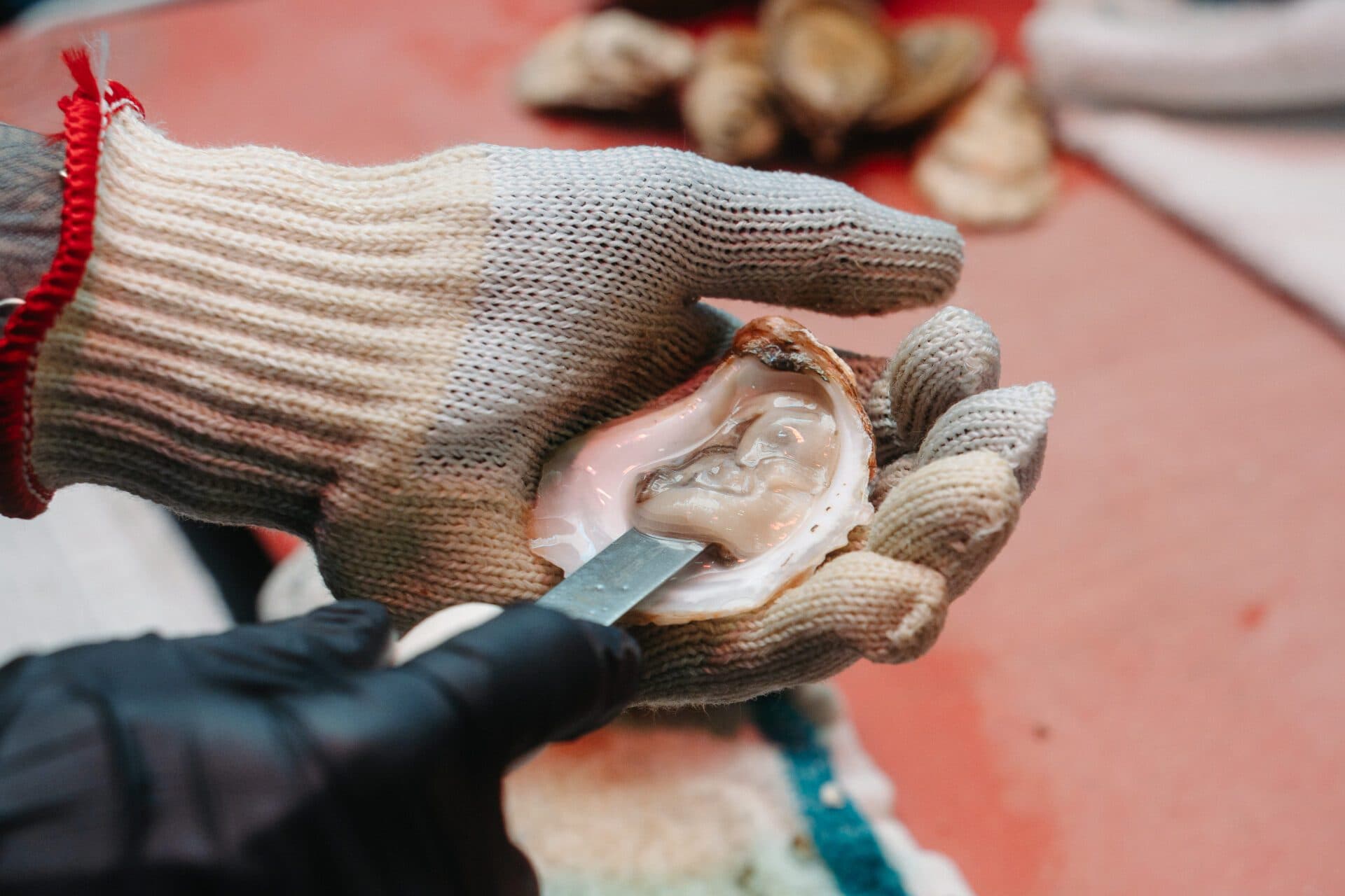 Inside Seaview & Main’s Mobile Oyster Bar