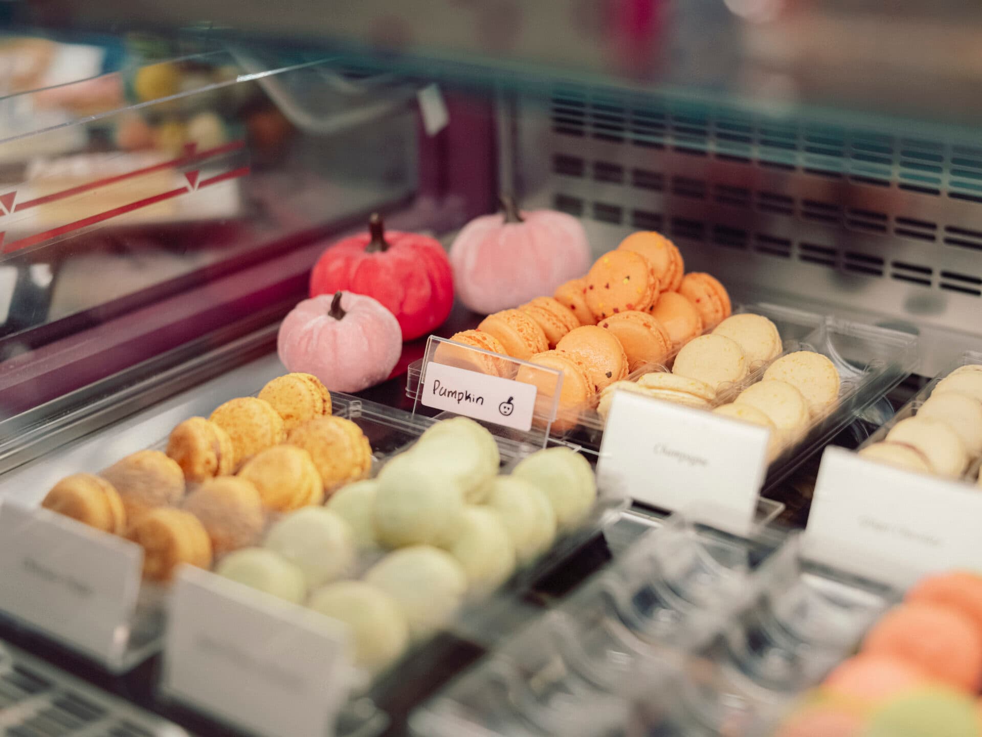 Le Macaron Celebrates 1 Year of French Goodies in Downtown Tucson