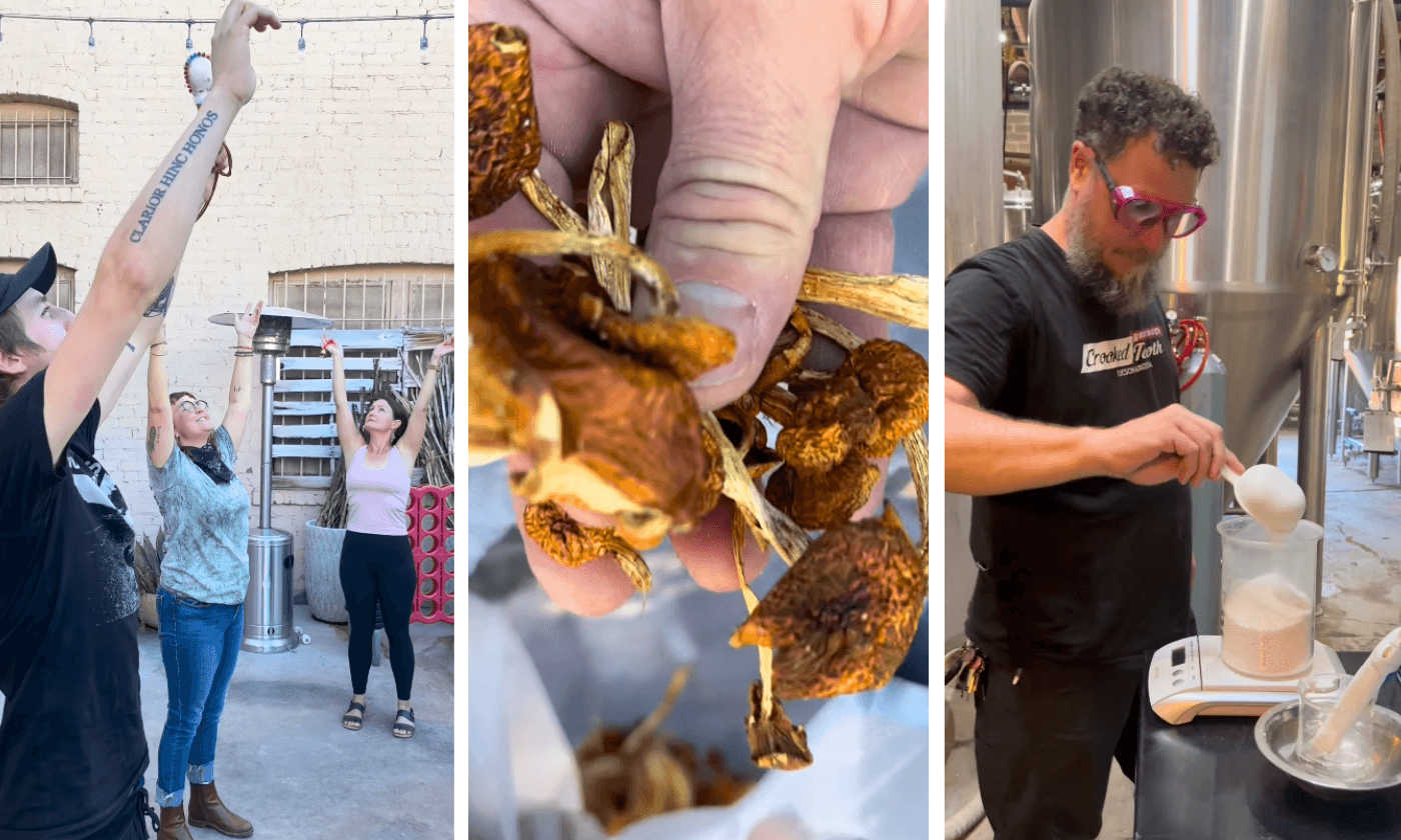 Mushroom Market & Mushroom Beer Release Party at Crooked Tooth Brewing
