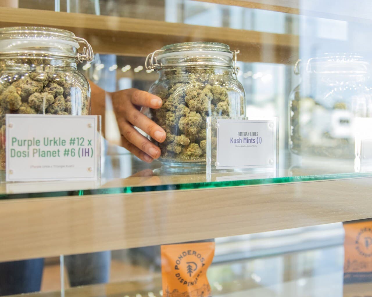 Ponderosa Dispensary’s Grand Opening/Cannabis Celebration