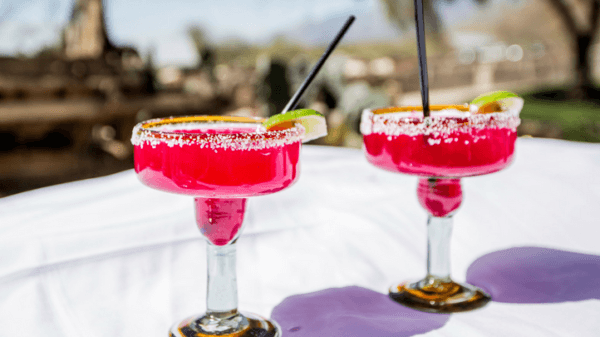 Prickly Pear Harvest at Tanque Verde Ranch August 17 – 31