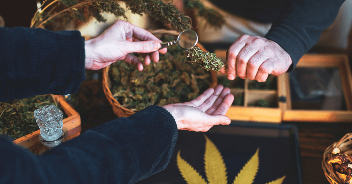 Prime Leaf Dispensary Presents Flower Hour with VARZ Cannabis