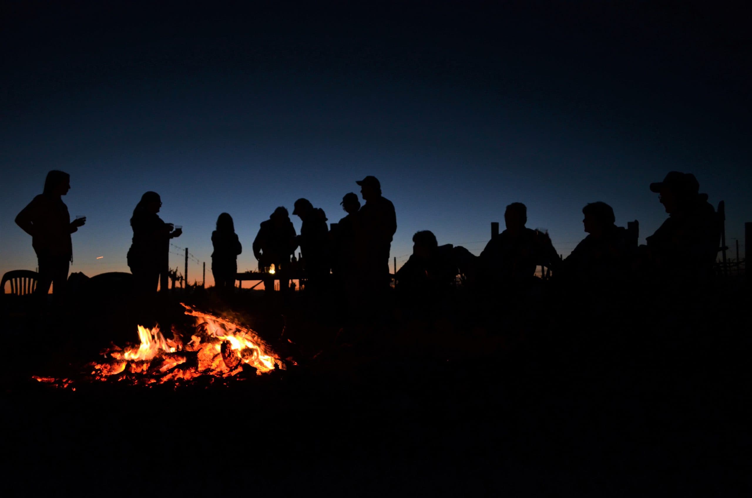 Pruning Seminar, Bonfire & S’mores at Carlson Creek Vineyard March 11