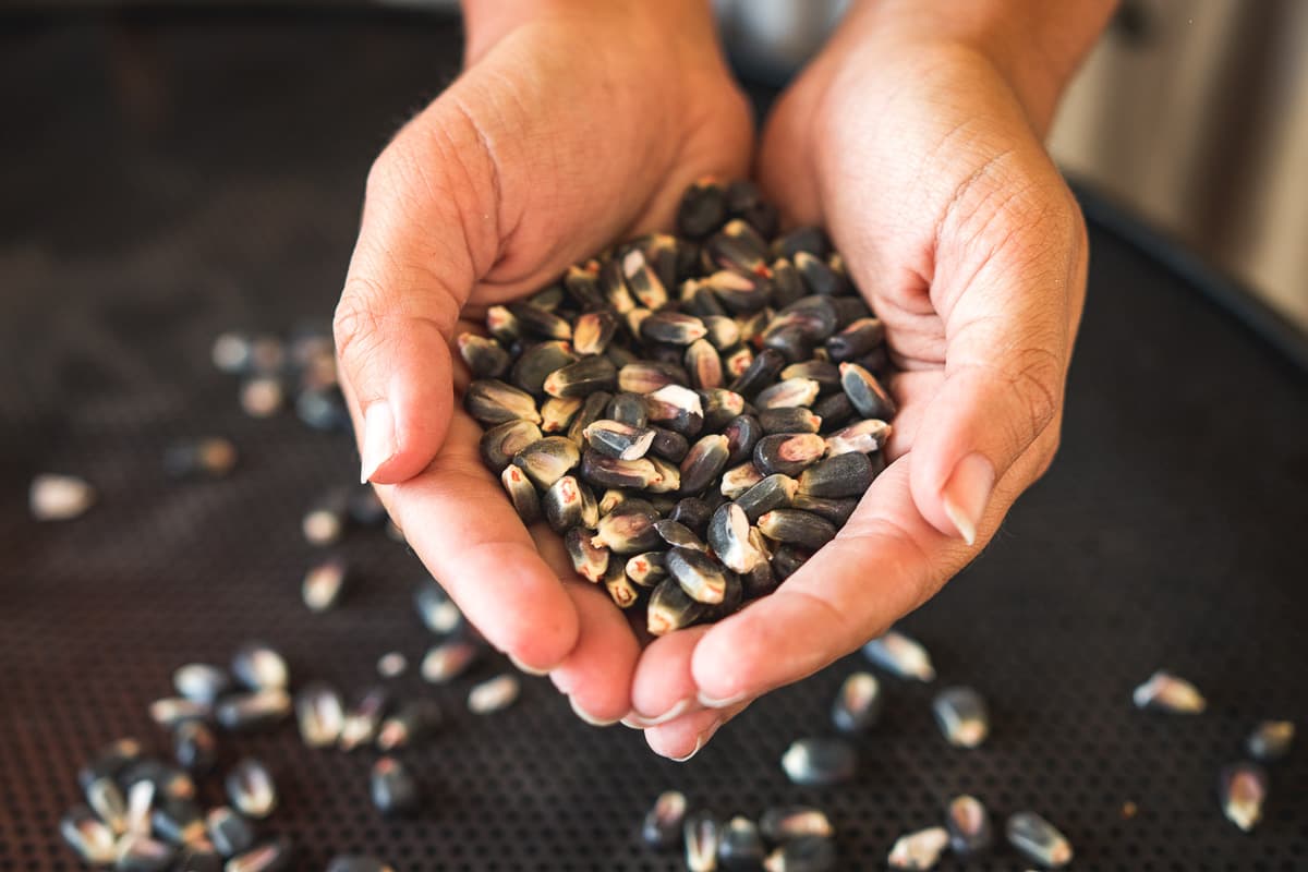 Our ultimate & comprehensive guide to Sonoran food in Southern Arizona