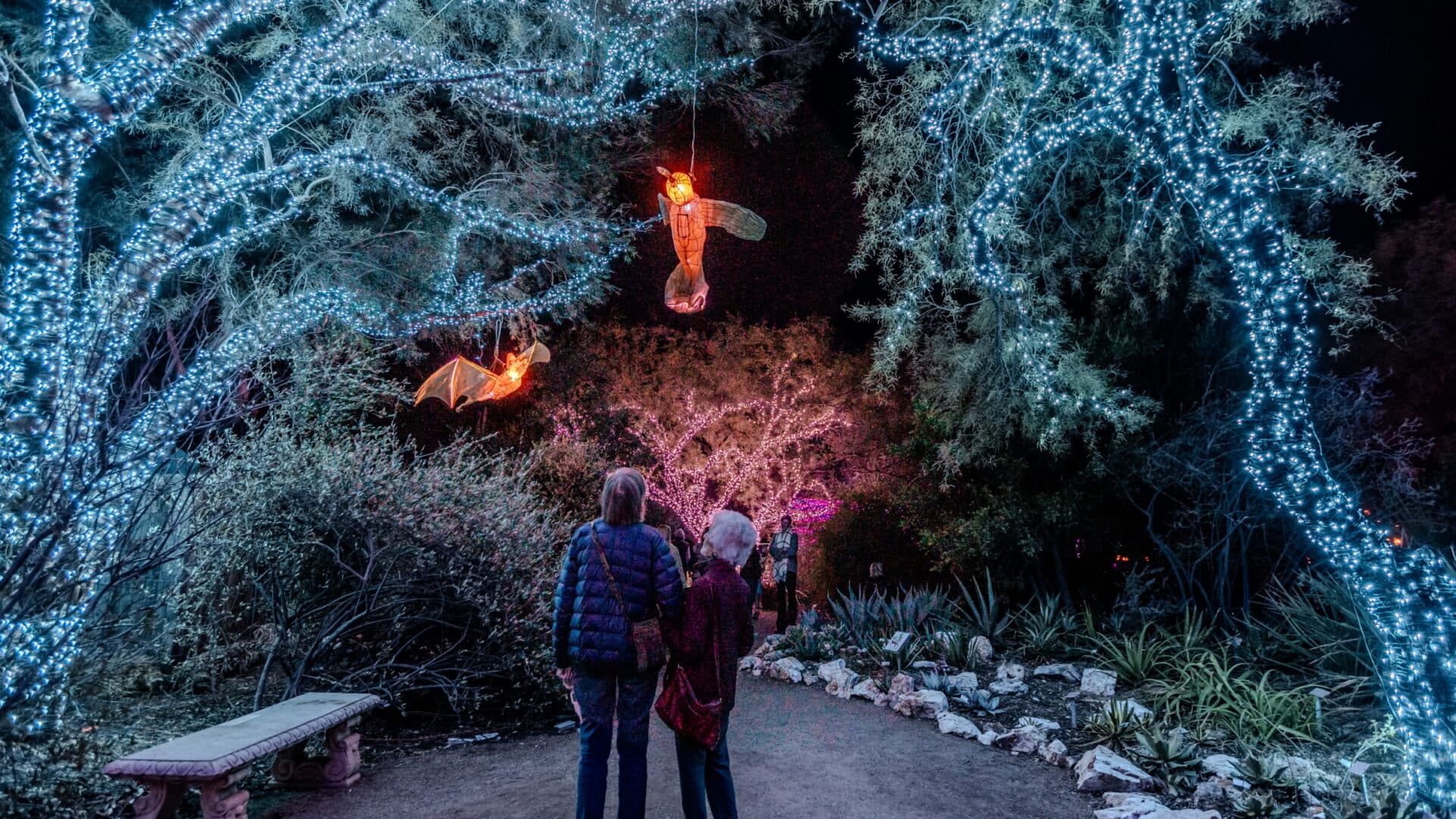 Things To Do: Street Fairs, Holidays Events & More (Dec. 2024)