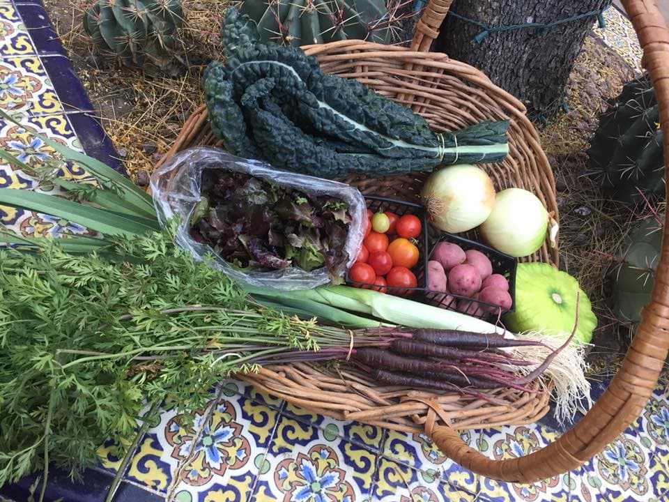 Your guide to 7 local Community-Supported Agriculture (CSA) programs
