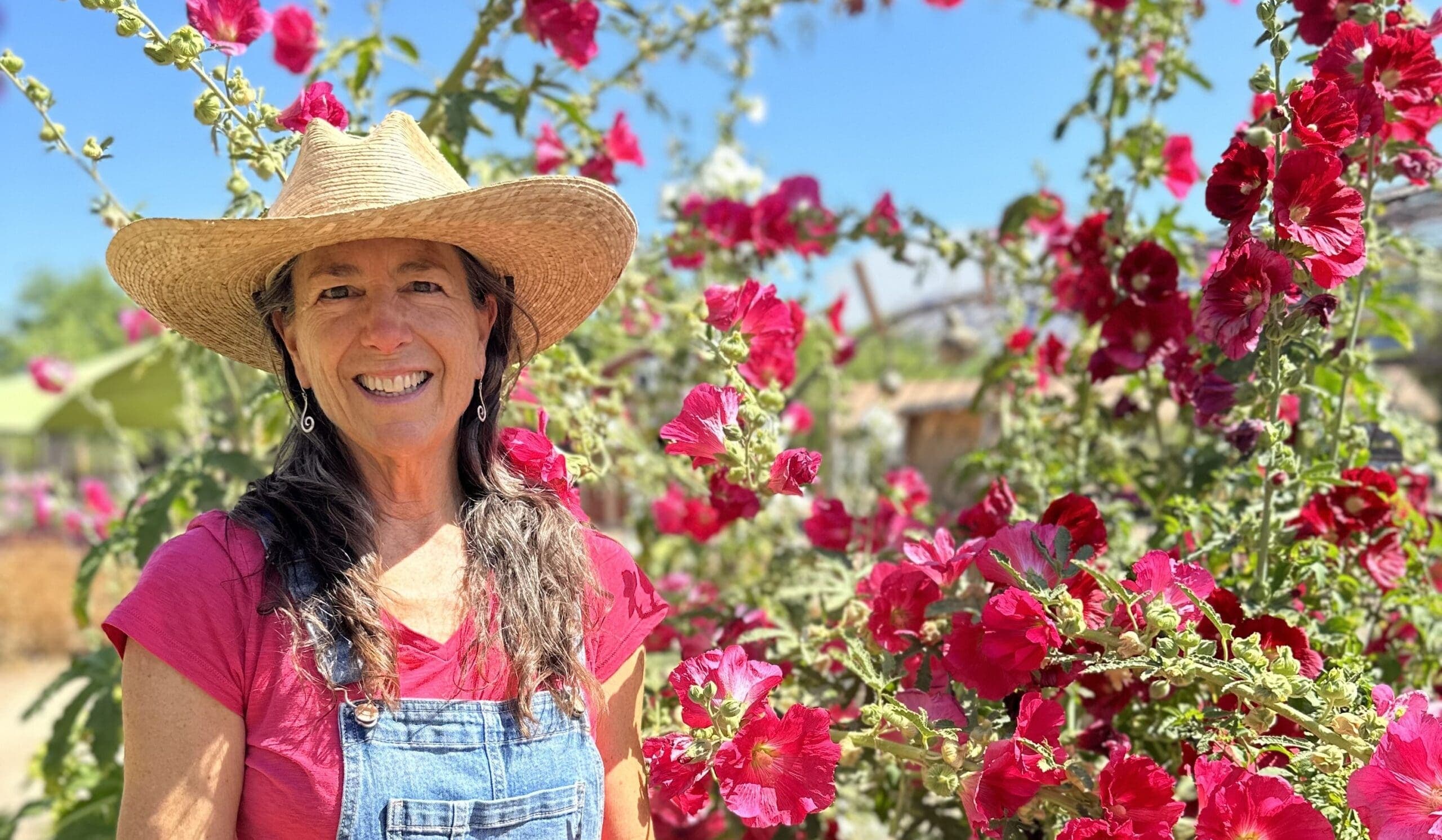 What’s happening at Tucson Village Farm? June 2024 Edition
